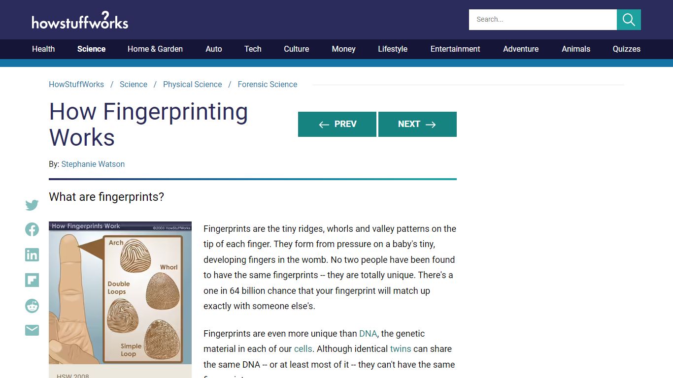 What are fingerprints? | HowStuffWorks